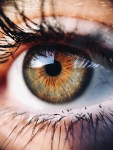 Ojo humano, memoria de testigos oculares