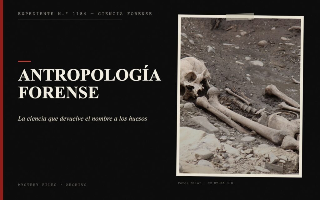 Portada del expediente de Antropología forense con fotografía: la ciencia que devuelve el nombre a los huesos