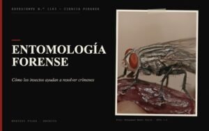Portada del expediente de Entomología forense con fotografía: cómo los insectos ayudan a resolver crímenes