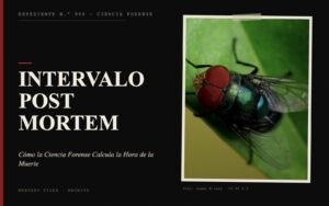 Portada del expediente de Intervalo Post Mortem con fotografía: Cómo la Ciencia Forense Calcula la Hora de la Muerte